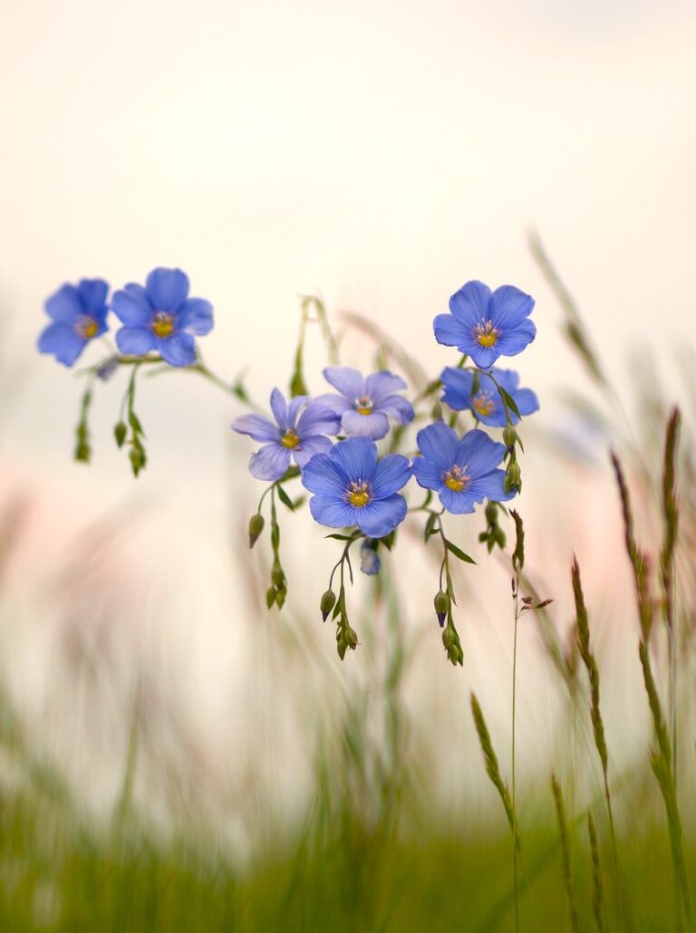 Chodzi o prawdę i godny pochówek