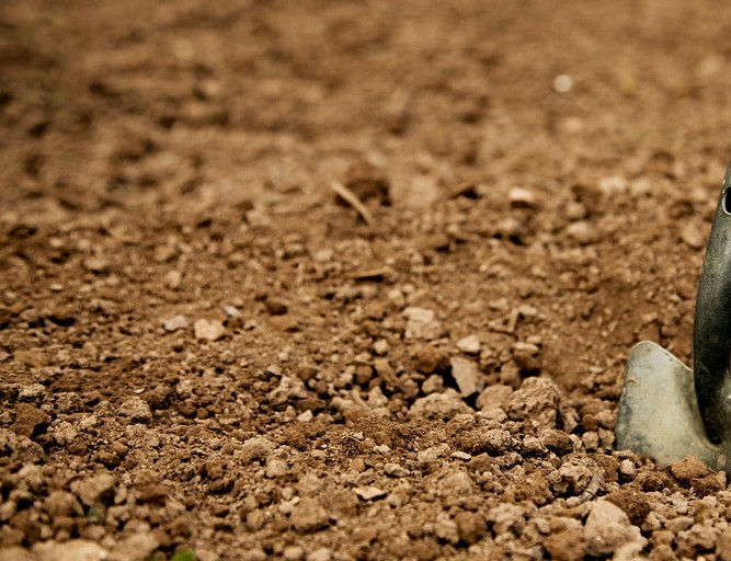 Wkrótce kolejne badania na Wołyniu