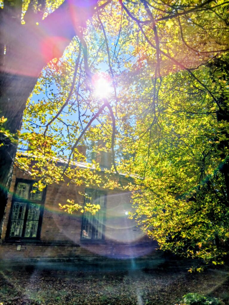 Najkorzystniejsza oferta wyłoniona