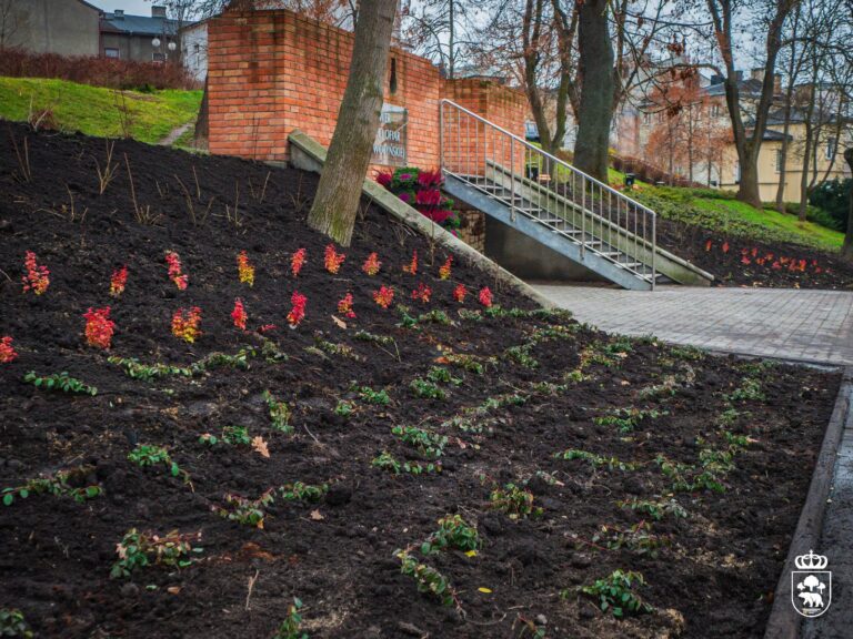 Skwer otulony krzewami