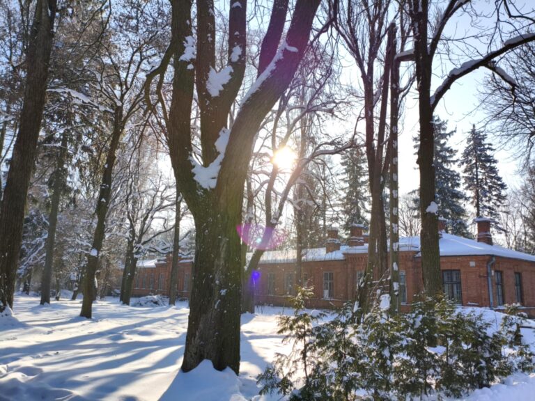 Zimowa aura na Hrubieszowskiej 102